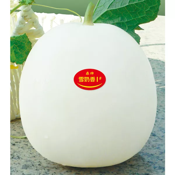 薄皮甜瓜，哪個品種最好呢？畝產(chǎn)高達10萬，附4種市場爆款品種