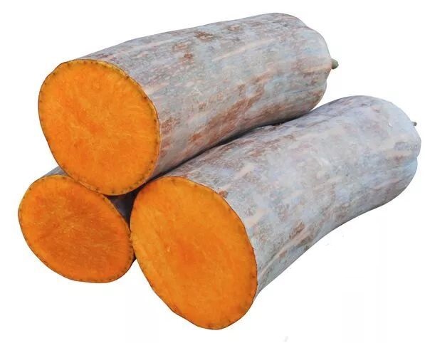 生吃都好吃南瓜新品種，沒有大肚子，肉質(zhì)更密致，農(nóng)戶試種下