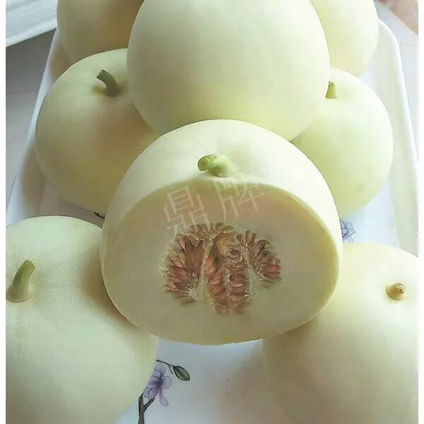 蔬菜種子種植戶種植心得-這個(gè)品種幫我留一些，4月份我們當(dāng)?shù)剡€要種一批